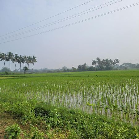 Tanjore Home Stay Thanjavur Eksteriør billede