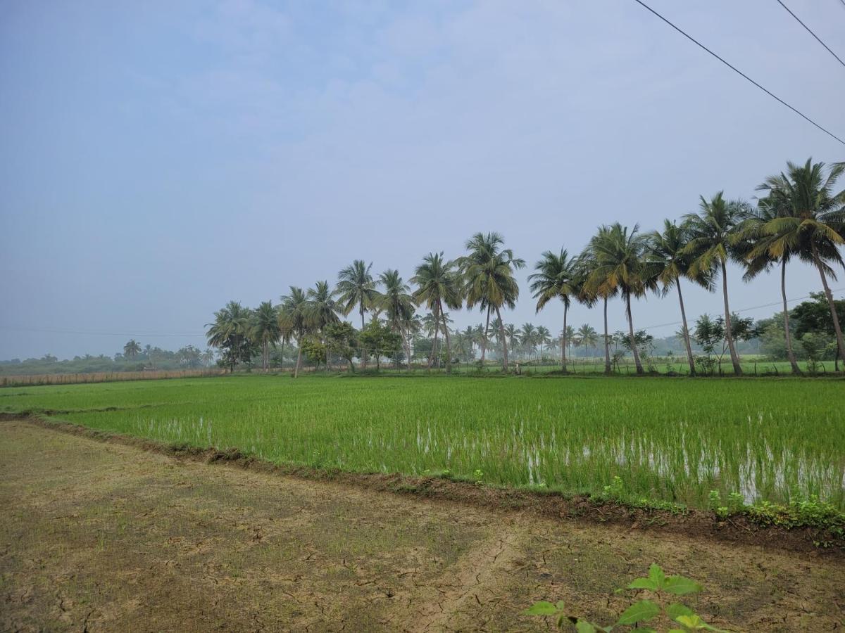 Tanjore Home Stay Thanjavur Eksteriør billede