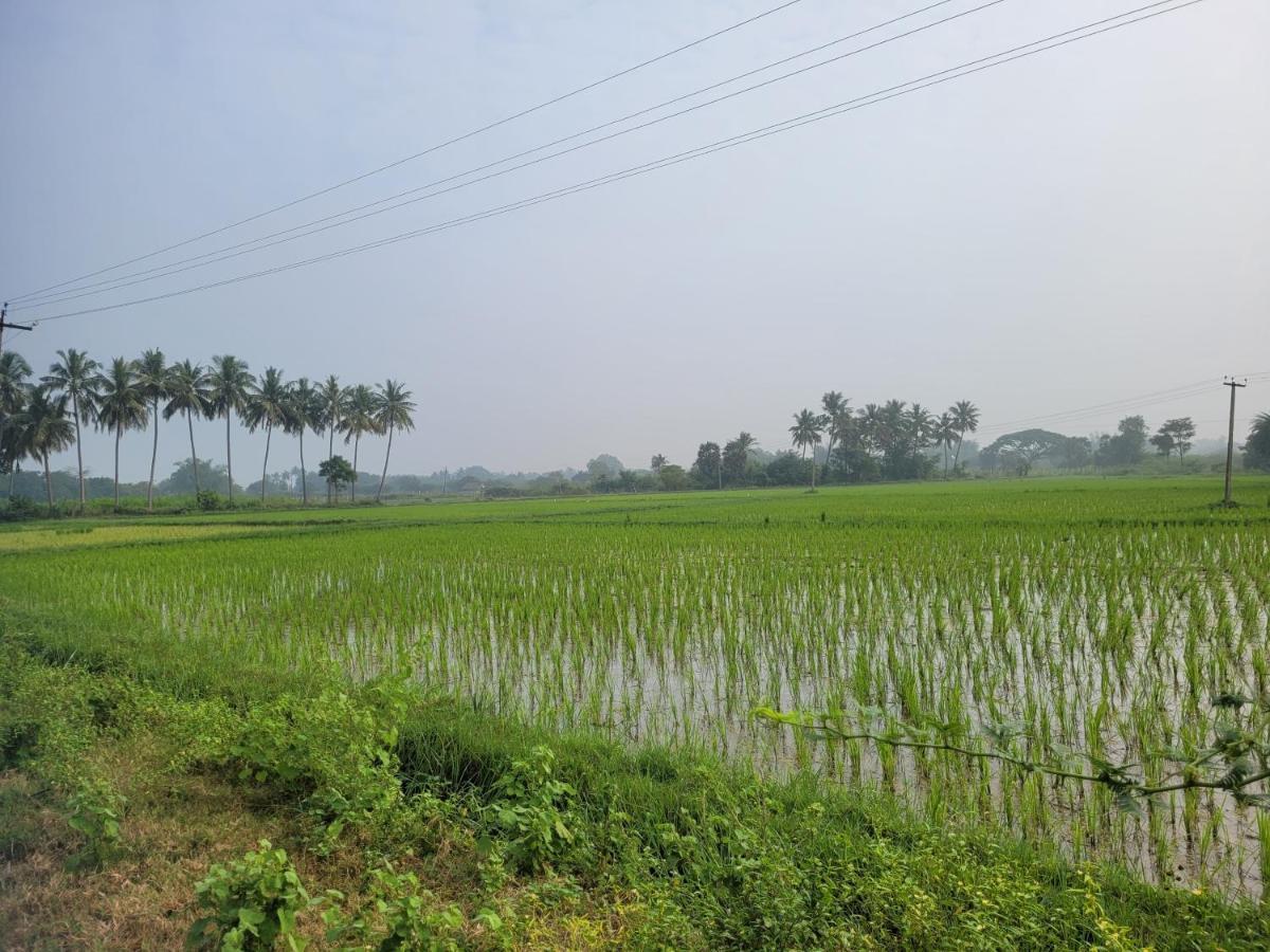 Tanjore Home Stay Thanjavur Eksteriør billede