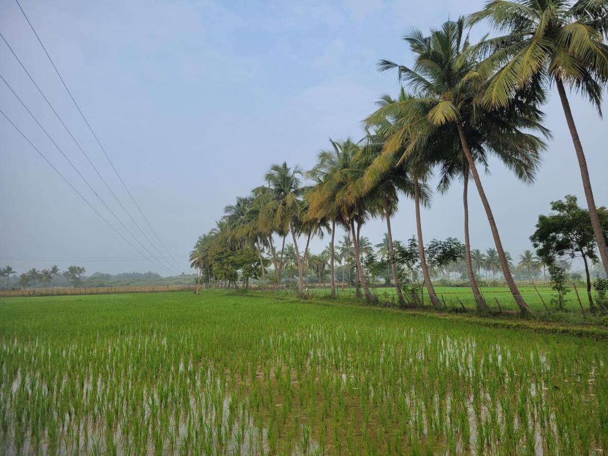 Tanjore Home Stay Thanjavur Eksteriør billede