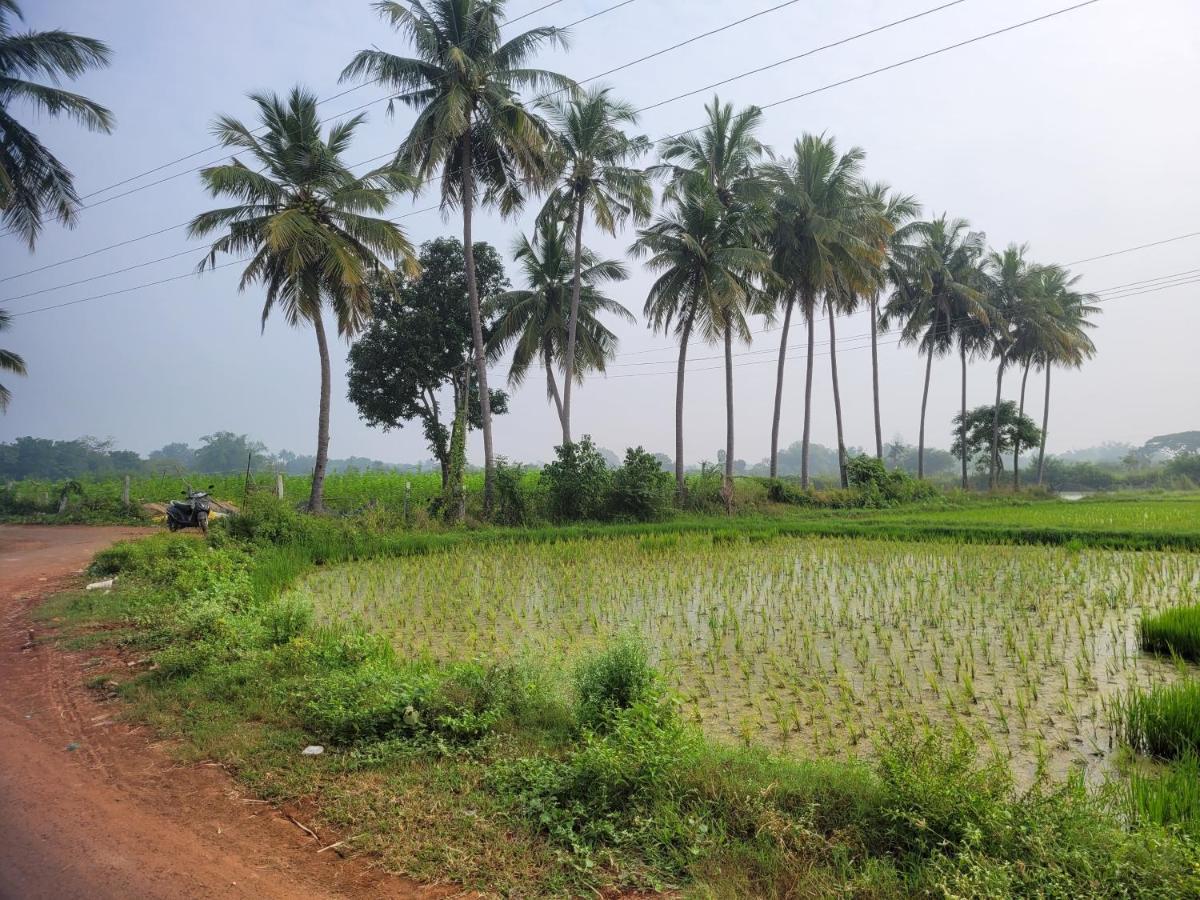 Tanjore Home Stay Thanjavur Eksteriør billede