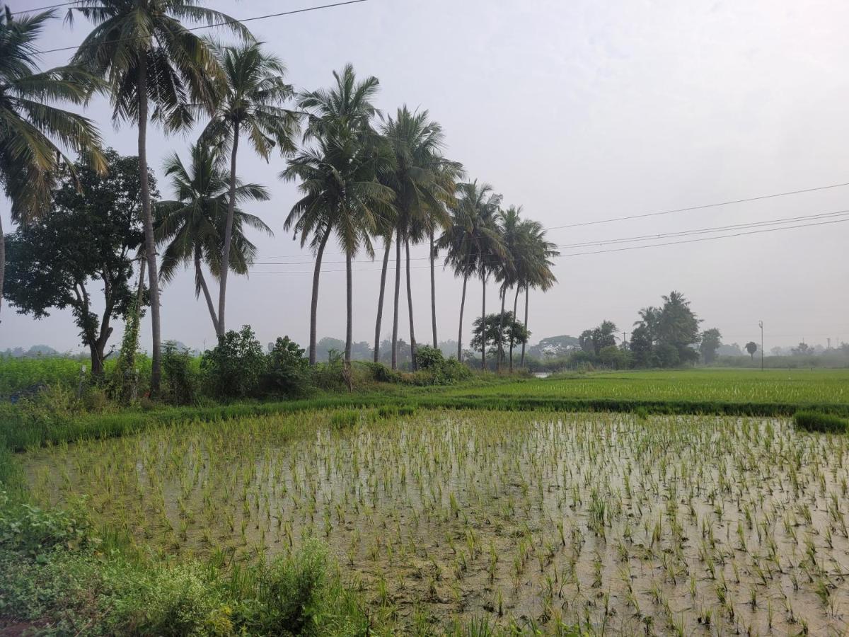 Tanjore Home Stay Thanjavur Eksteriør billede