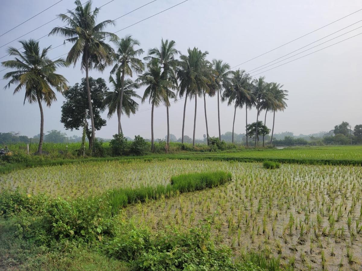 Tanjore Home Stay Thanjavur Eksteriør billede