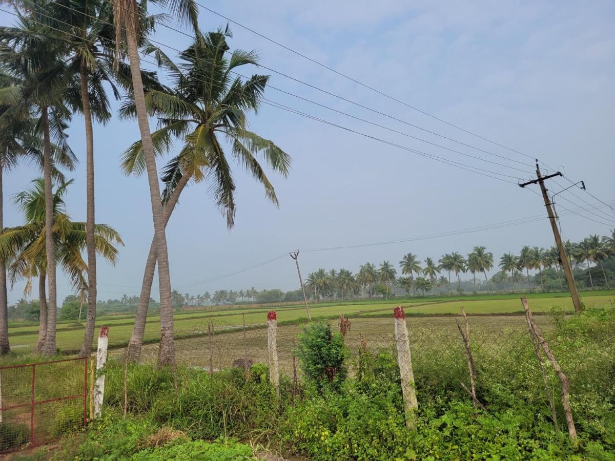 Tanjore Home Stay Thanjavur Eksteriør billede