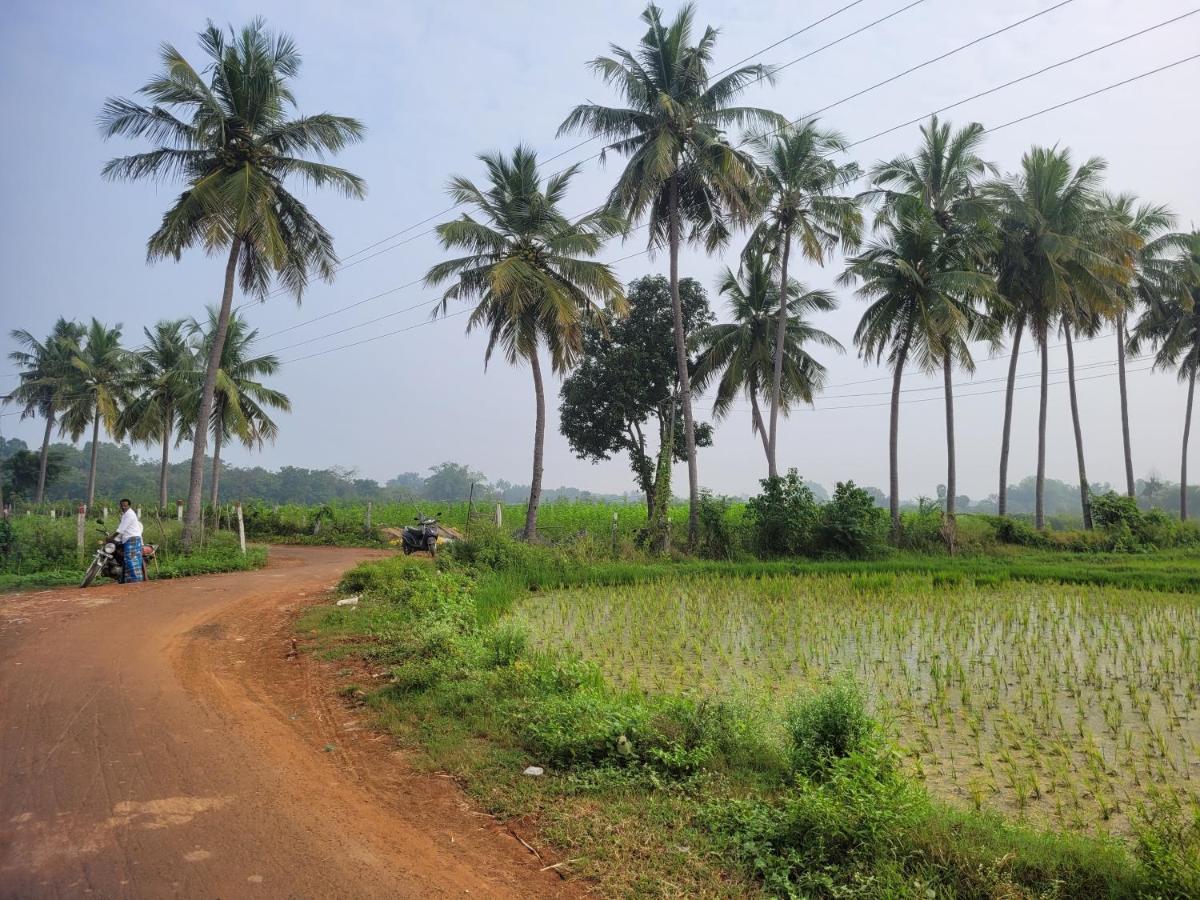 Tanjore Home Stay Thanjavur Eksteriør billede